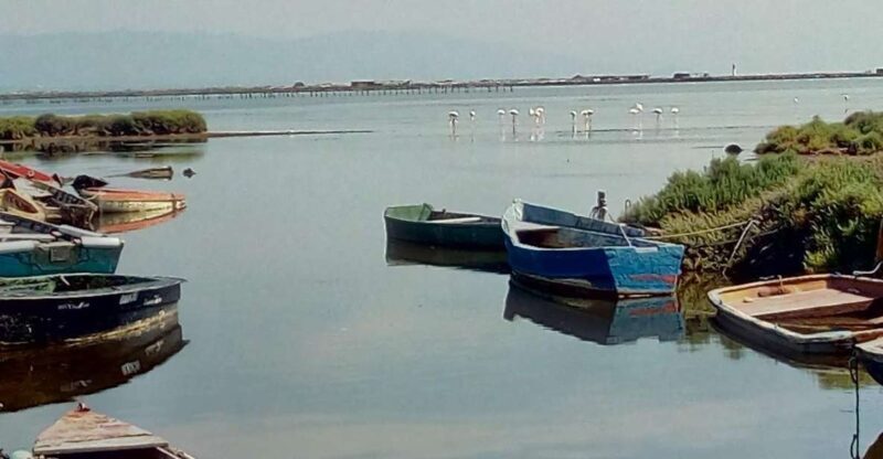 From Deltebre: Ebro Delta National Park Multi-Stop Day Trip - Is It Worth the Price?