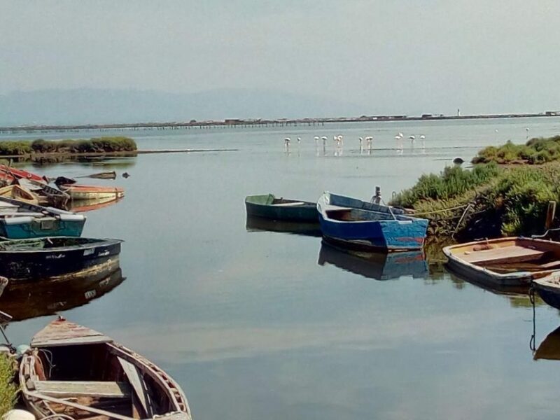 From Deltebre: Ebro Delta National Park Multi-Stop Day Trip - The Sum Up