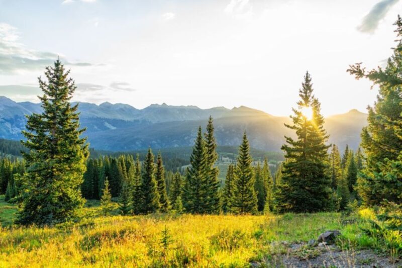 From Denver: Red Rocks and Foothills Half-Day Guided Tour - Who Is This Tour Best Suited For?