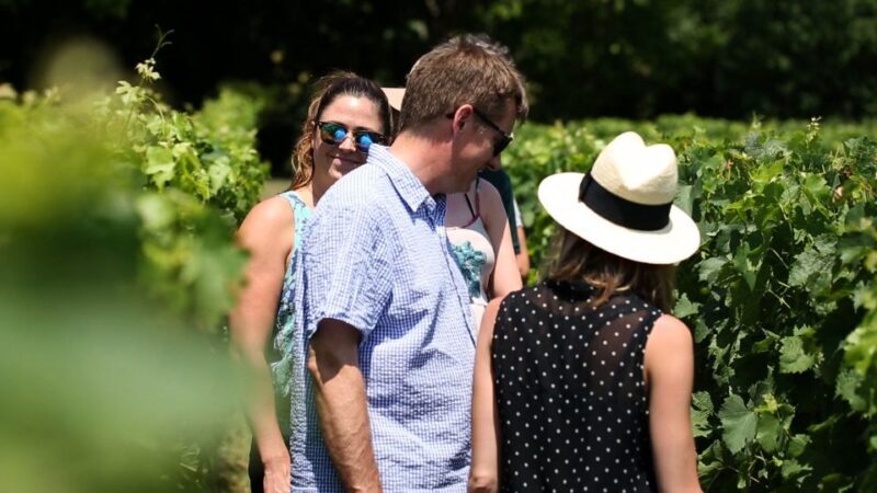 From: Dijon/Beaune: Burgundy Region Winery Tour with Lunch - Scenic Drive and Village Tours