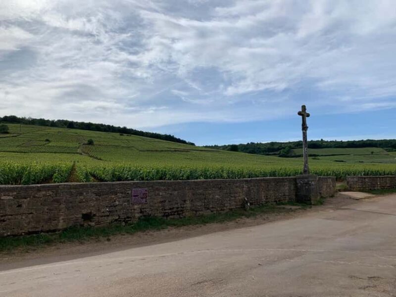 From: Dijon/Beaune: Burgundy Region Winery Tour with Lunch - Pricing and Value