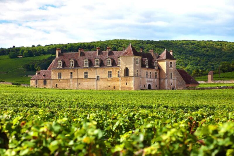 From Dijon: Côte de Nuits Wine-Tasting Tour - An In-Depth Look at the Côte de Nuits Wine-Tasting Tour