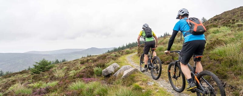 From Dublin: Mountain Bike Experience - Who Will Love This Experience?