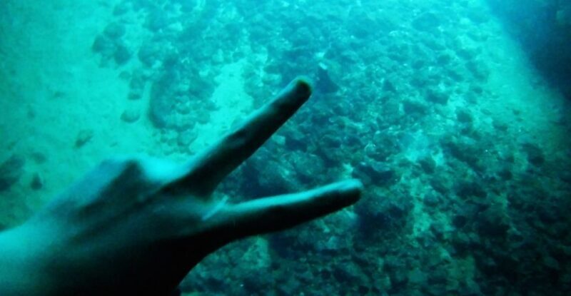 From Dubrovnik: Full-Day Private Boat Tour of Elafiti Island - Introduction: A Personalized Day on the Water