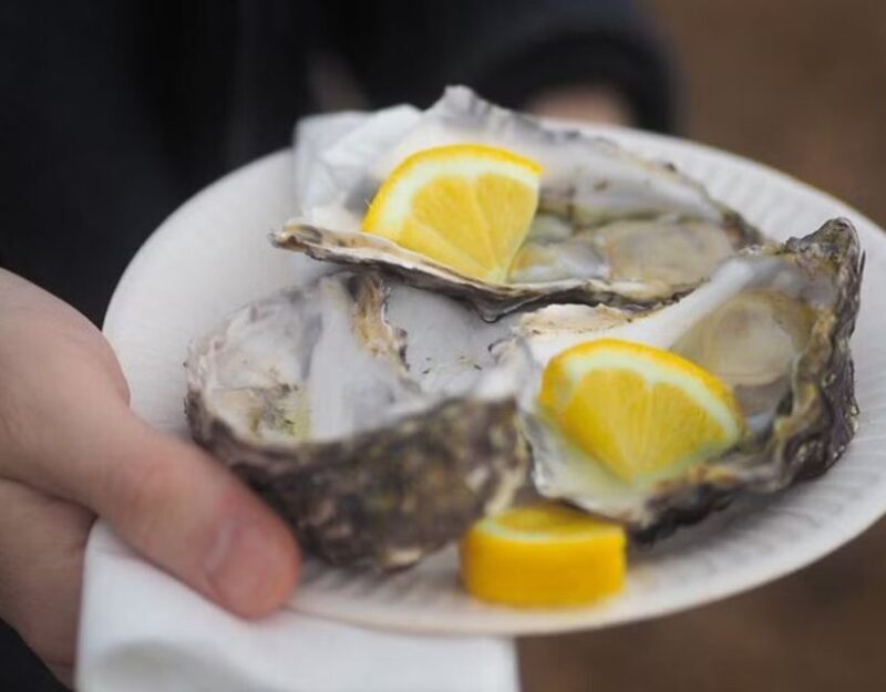 From Dubrovnik: Full-Day Tour to Ston & Oyster Tasting - Key Points