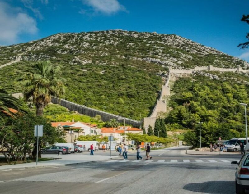 From Dubrovnik: Full-Day Tour to Ston & Oyster Tasting - Final Thoughts