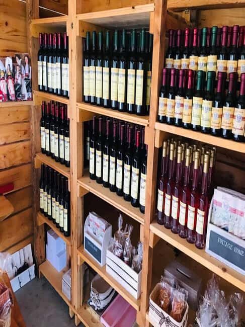 From Dubrovnik: Half-Day Wine Tasting and Cavtat City Tour - Transportation, Group Size, and Overall Value