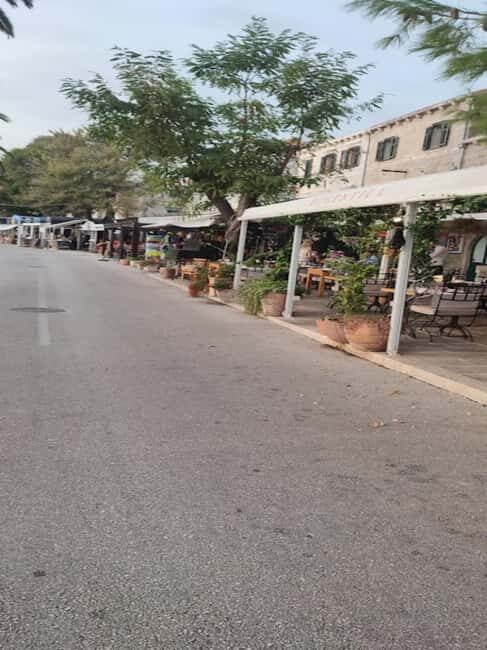 From Dubrovnik: Half-Day Wine Tasting and Cavtat City Tour - Who Should Consider This Tour?