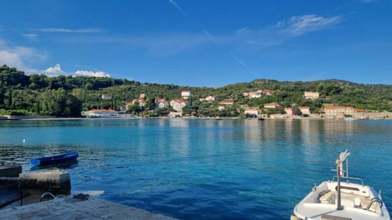 From Dubrovnik: Hop-On-Hop-Off Elaphiti Islands Boat Tour - Who Is This Tour Best For?