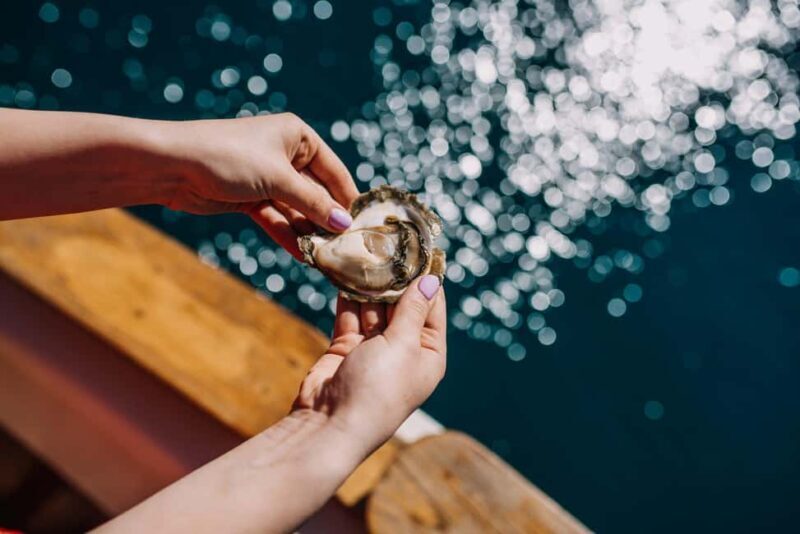 From Dubrovnik: Mali Ston Oyster Farm & Boat Experience - Key Points