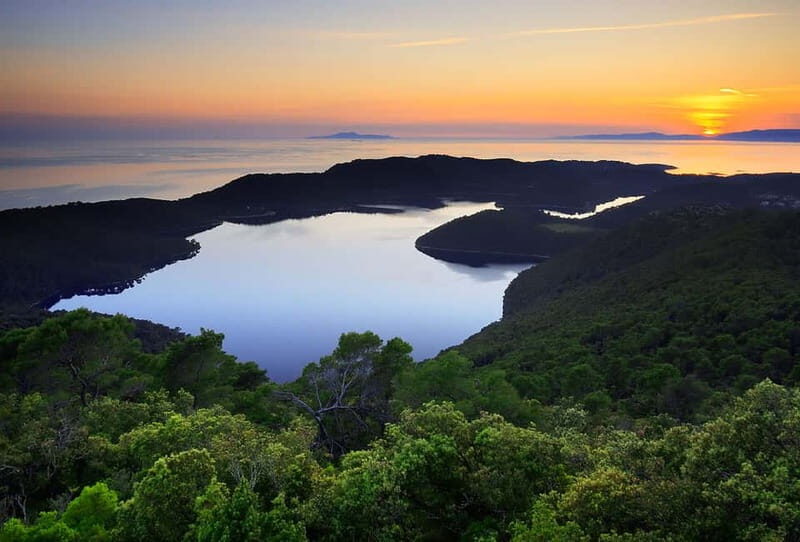 From Dubrovnik: Mljet Island Guided Catamaran Day Tour - Key Points
