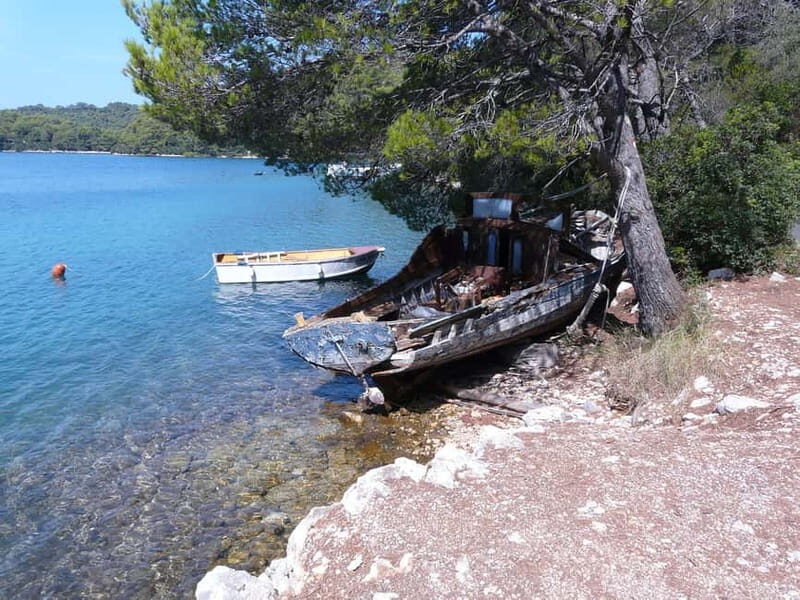 From Dubrovnik: Mljet Island Guided Catamaran Day Tour - The Itinerary: What to Expect on Your Mljet Adventure