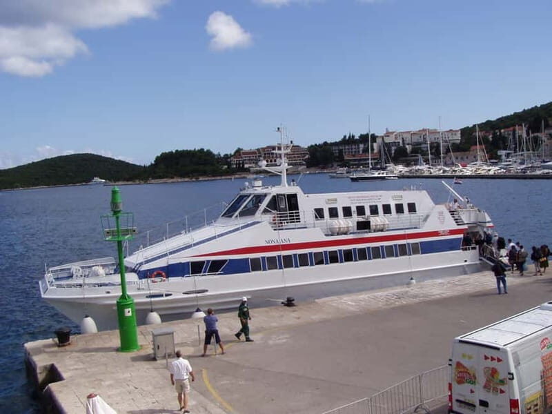 From Dubrovnik: Mljet Island Guided Catamaran Day Tour - Authentic Experiences from Guest Reviews