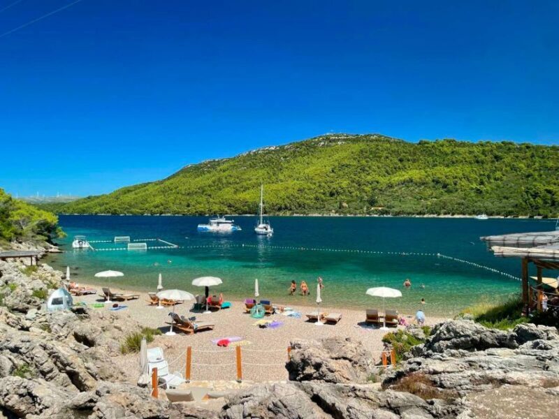 From Dubrovnik: Mljet National Park & Elaphiti Islands Trip - Key Points