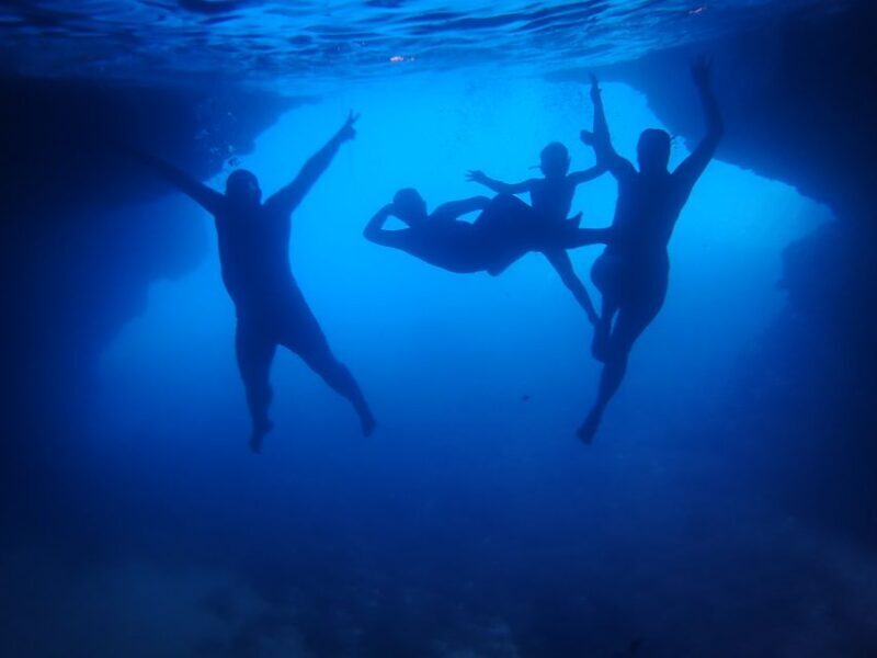 From Dubrovnik: Mljet National Park & Elaphiti Islands Trip - Including or Excluding Fees and Extras