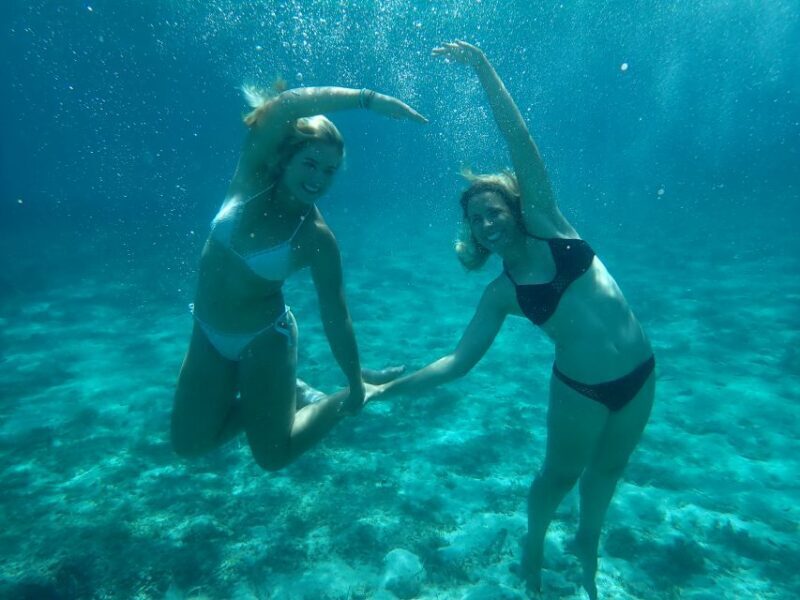 From Dubrovnik: Mljet National Park & Elaphiti Islands Trip - Who Will Love This Experience?