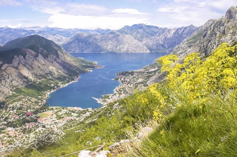 From Dubrovnik: Montenegro Day Trip - Overall Value and Suitability