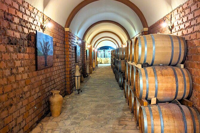 From Dubrovnik: Peljesac Wine Tasting Private Tour - Who Will Love This Tour?