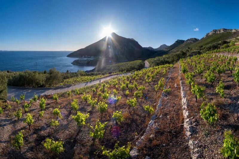 From Dubrovnik: Private Peljeac Wine Region and Ston Tour - The Itinerary: What You Can Expect