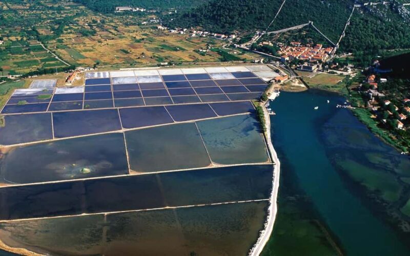 From Dubrovnik Private Wine Tasting Tour - Who Is This Tour Best For?