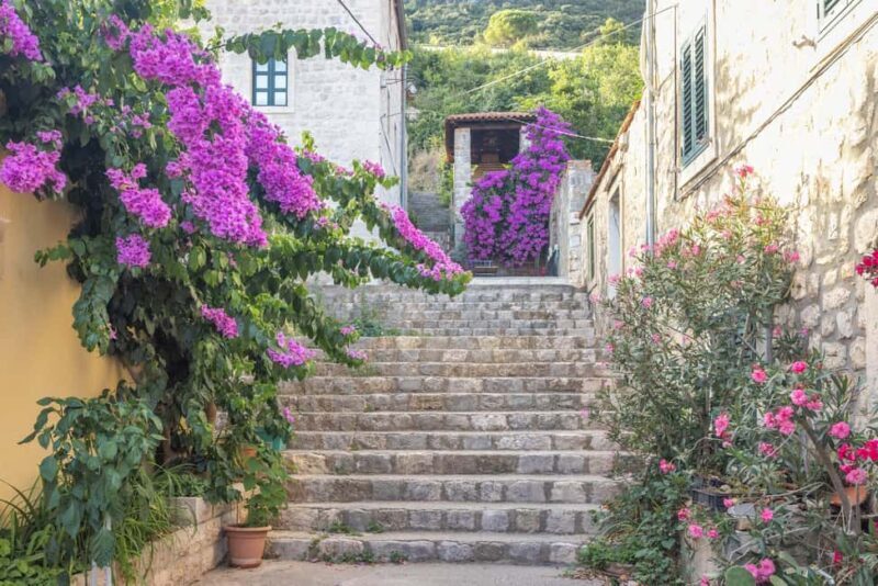 From Dubrovnik: Ston Town, Peljesac & Saltworks Private Tour - FAQ