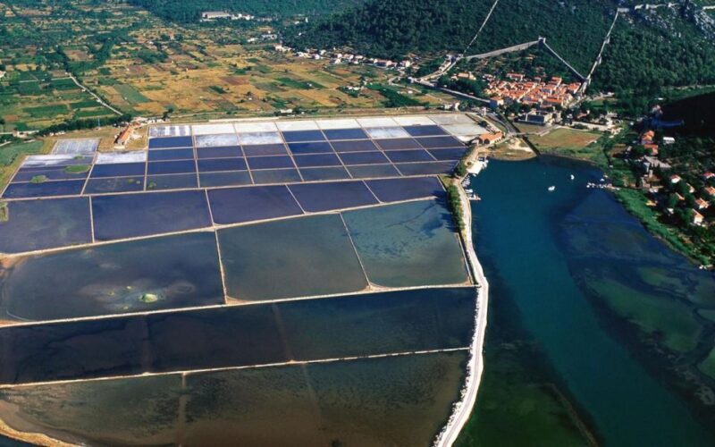 From Dubrovnik Wine and Gastro Private tour with minivan - Authentic Experiences and Reviews