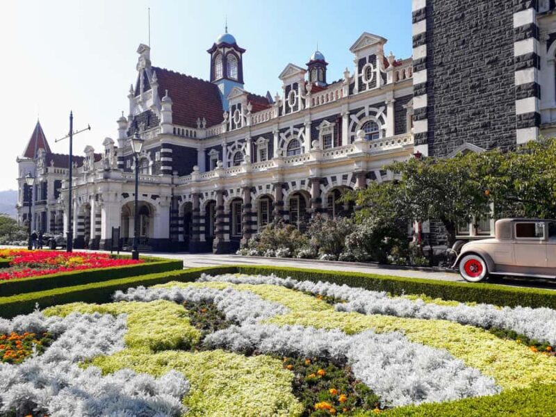 From Dunedin: City, Otago Peninsula & Albatross Guided Tour - Who Should Consider This Tour?