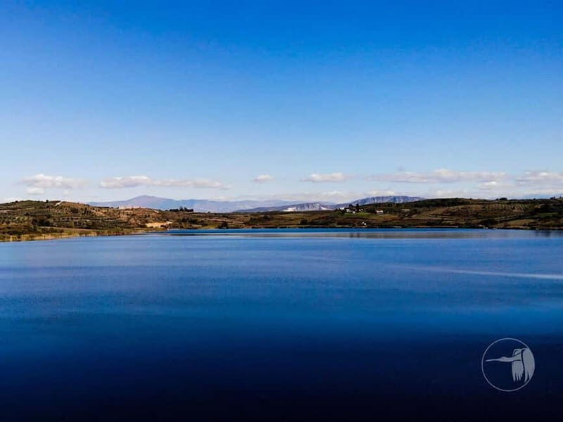From Durres/Golem: Berat City & Belshi Lake Day Trip - Serenity at Lake Belsh: Nature and Relaxation