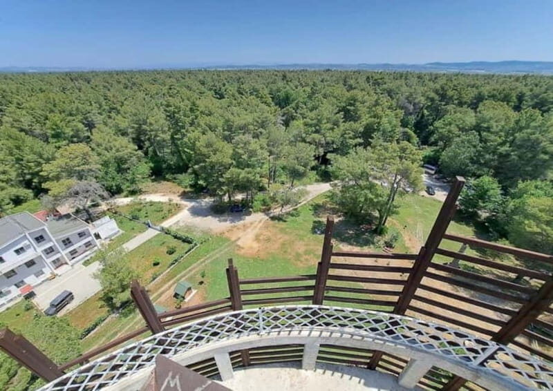 From Durres: Karavasta Lagoon & Apolonia Ancient City Tour - FAQ