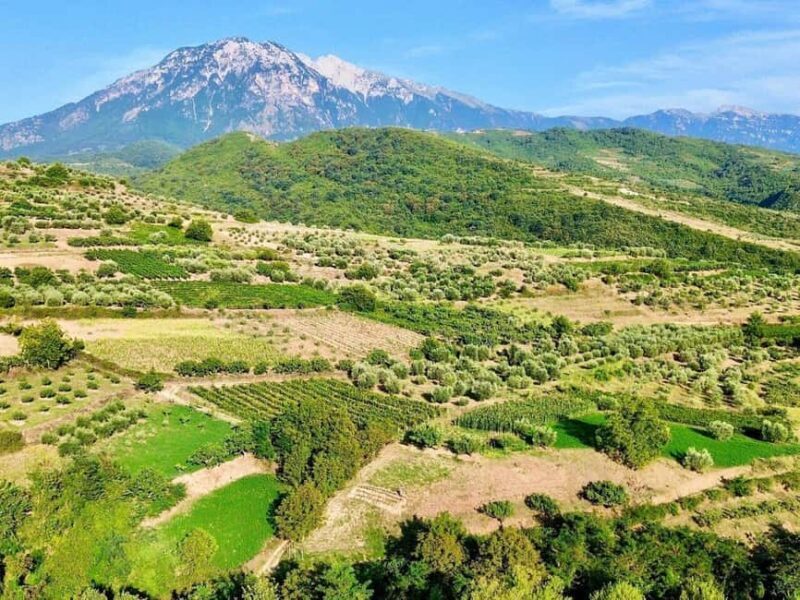 From Durrës: Wine Tasting at Alpeta Winery in Berat - Key Points