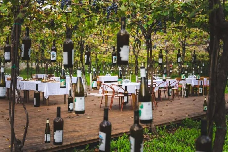 From Durrës: Wine Tasting at Alpeta Winery in Berat - A Deep Dive into the Day Trip