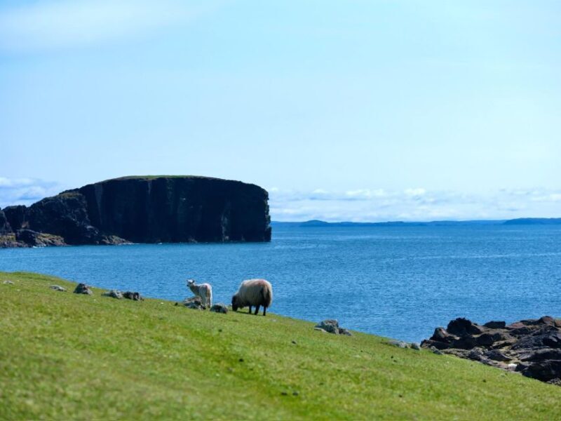 From Edinburgh: 6-Day Shetland & Nothernmost Explorer - FAQs