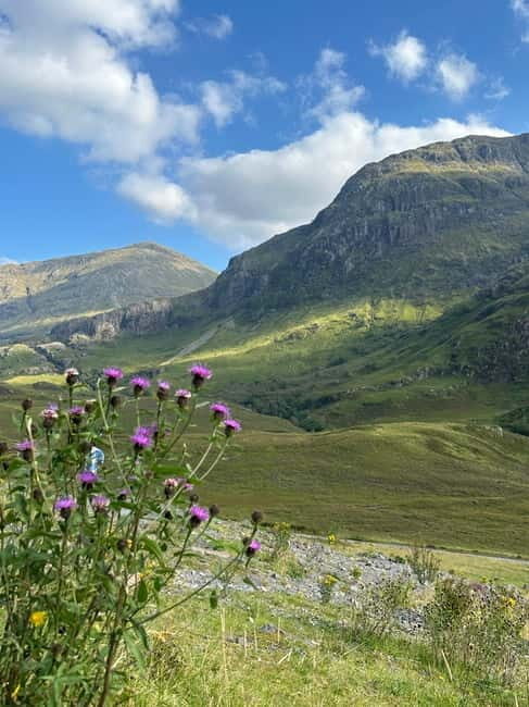 From Edinburgh: Glenfinnan, Fort William and Highland Cows - The Sum Up: Is This Tour Right for You?