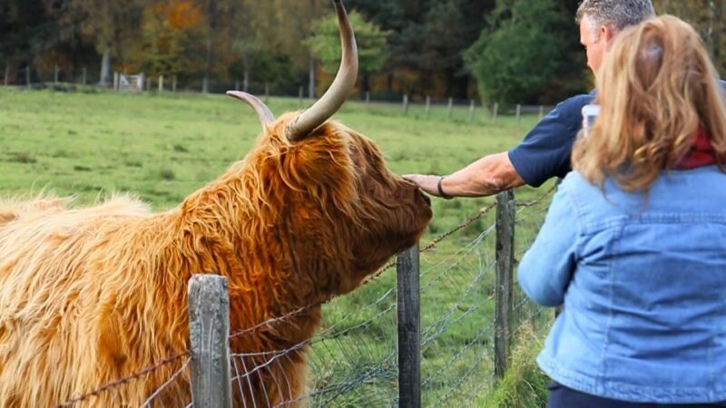 From Edinburgh: Isle of Skye and Hogwarts Express 4-Day Trip - Final Thoughts