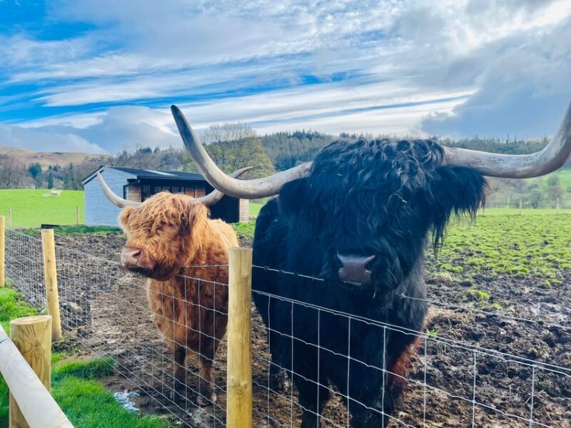 From Edinburgh: Loch Ness, Glencoe & The Highlands Day Trip - The Journey Begins: From Edinburgh to the Highlands