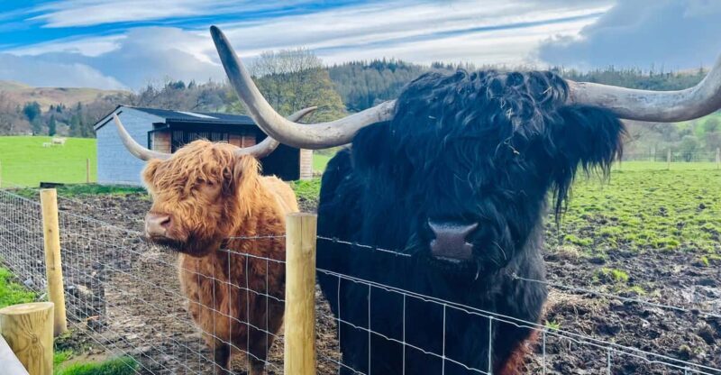 From Edinburgh: Loch Ness, Glencoe & The Highlands Day Trip - Glencoe: Dramatic and Photogenic