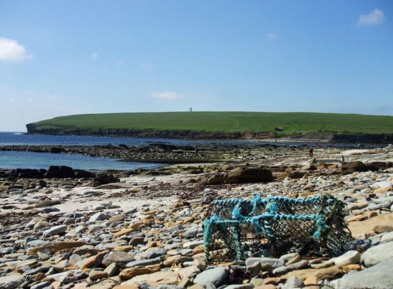 From Edinburgh: Orkney and The Far North 5-Day Tour - Who is this tour best suited for?