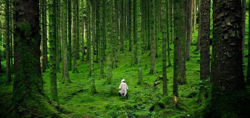 From Edinburgh: Private Tour of the Highlands & Isle of Skye - FAQ