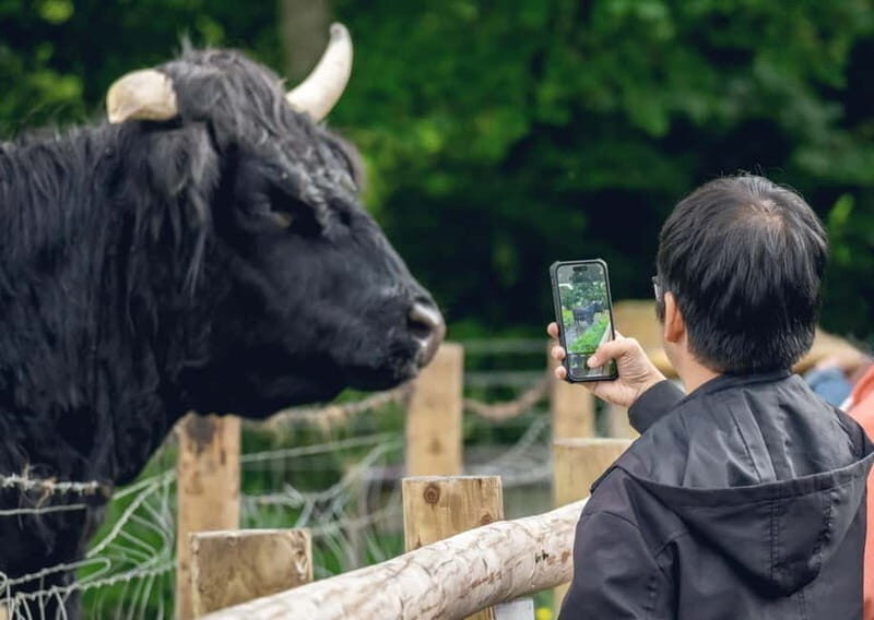 From Edinburgh: Stirling Castle, Kelpies and Loch Lomond - The Experience: Pros and Cons