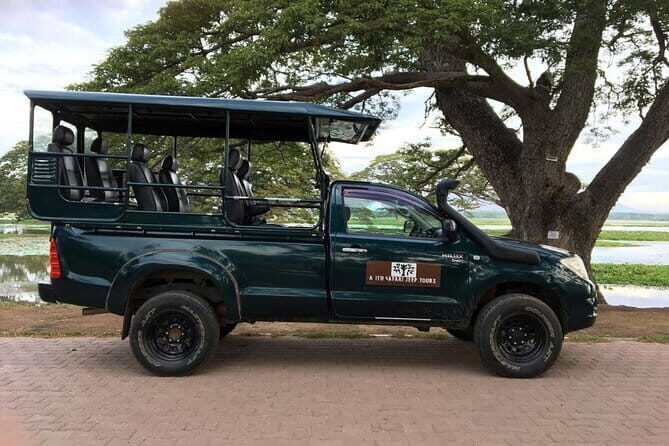 From: Ella - YALA Safari - Drop off: Arugam Bay / Arugambay - The Full Experience: A Deep Dive into the Safari