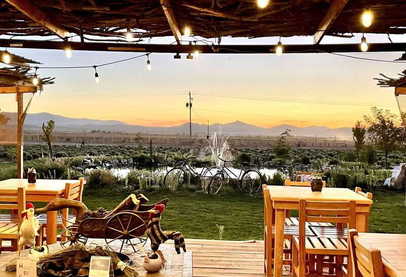 From Ensenada: Ojos Negros Valley Cheese & Wine Tasting Tour - Key Points