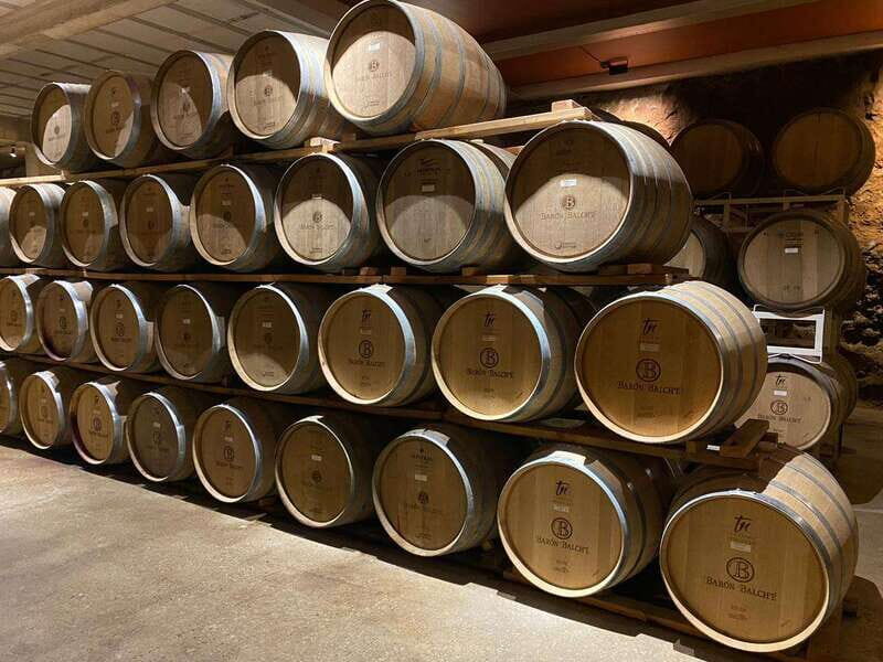 From Ensenada: Wine Tour at Guadalupe Valley Ensenada - An Honest Exploration of the Guadalupe Valley Wine Tour