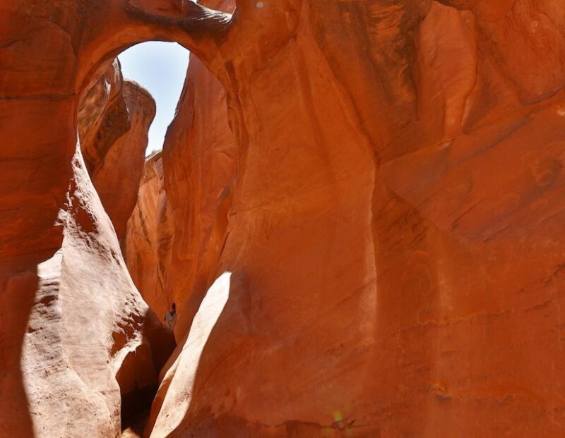 From Escalante: Dry Fork, Peekaboo & Spooky Slot Canyon Tour - Who Should Consider This Tour?
