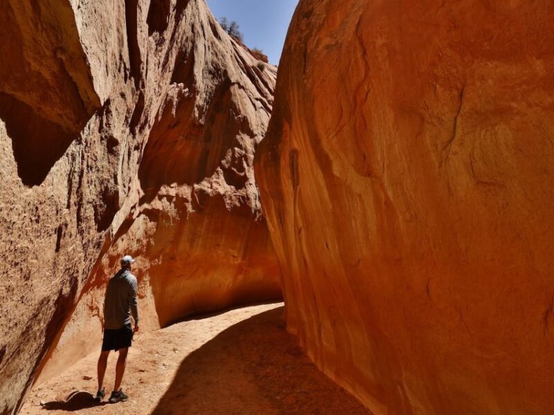 From Escalante: Dry Fork, Peekaboo & Spooky Slot Canyon Tour - The Sum Up