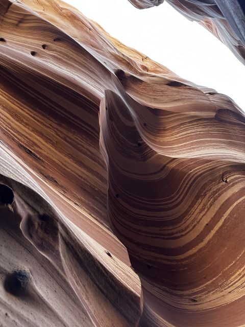 From Escalante: Zebra Slot Canyon Guided Tour and Hike - Who Will Love This Tour?