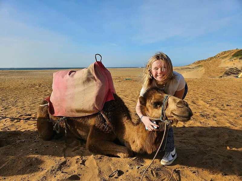 From Estepona: Tangier Day Trip with Ferry & Camel & Souk - Scenic Drive and Coastal Highlights