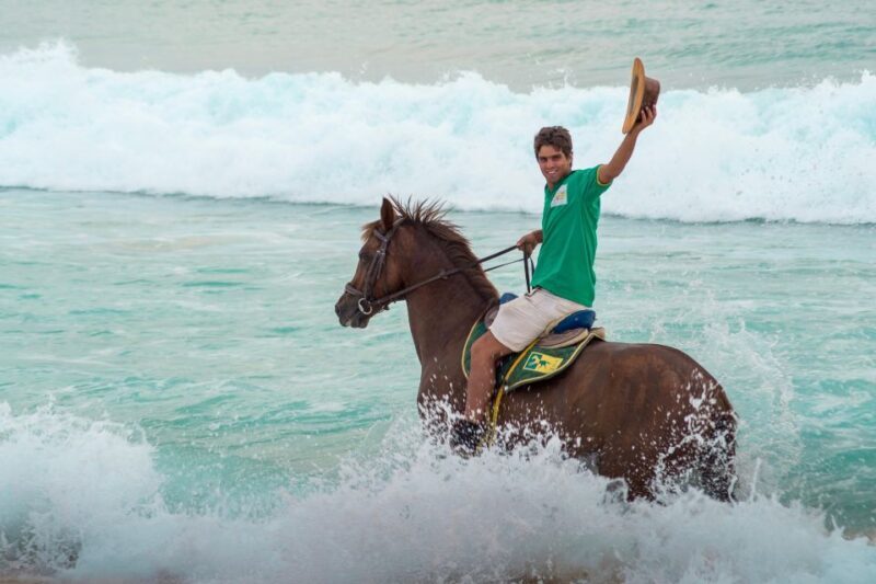 From Evora: Horseback riding on comporta beach - An In-Depth Look at the Experience