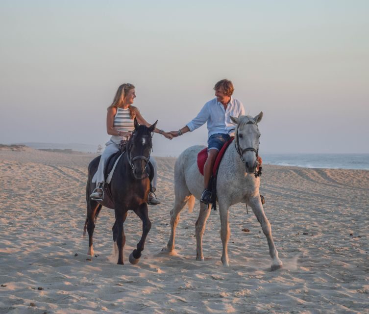 From Evora: Horseback riding on comporta beach - Who Is This Tour For?
