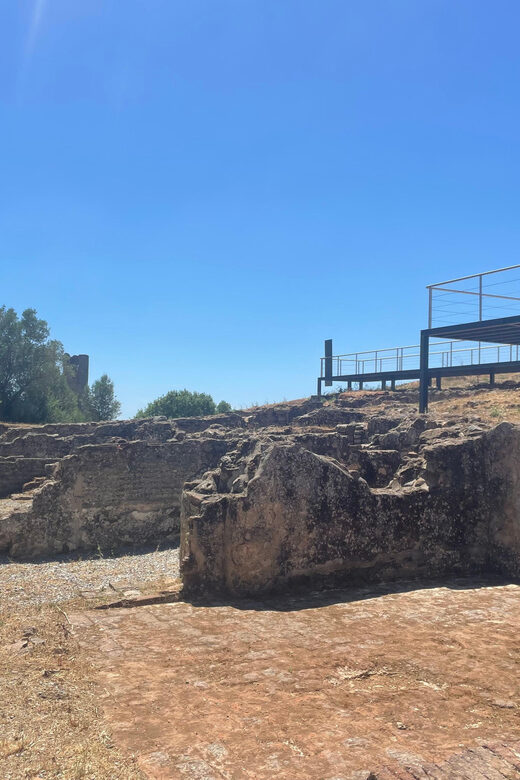 From Évora or Montemor: Visit to Castle of Montemor-o-Novo - Who This Tour Is Perfect For