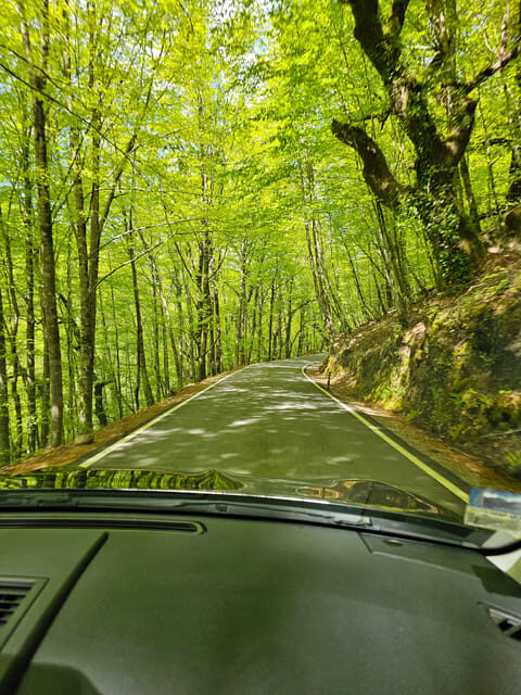 From Fafe: Full-day Tour in Gerês National Park - Key Points